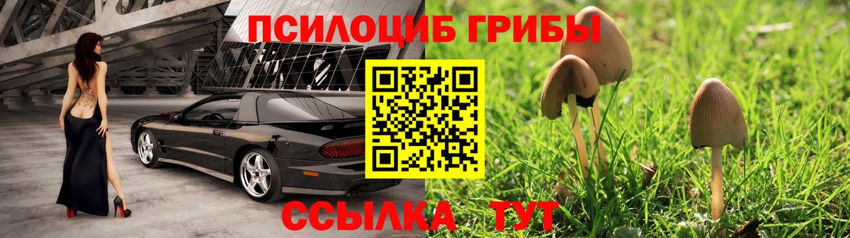 купить наркотики цена  Галлюциногенные грибы Magic Shrooms  Вход с VPN  Прохладный  Псилоцибиновые грибы GOLDEN TEACHER 